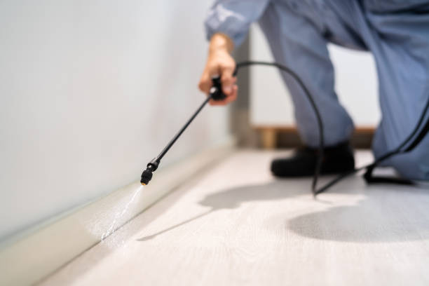 Licensed Pest Control service in Manawa, WI - Show Me Pest Control