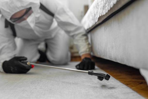 Professional Ant Control technician working in Manawa, WI